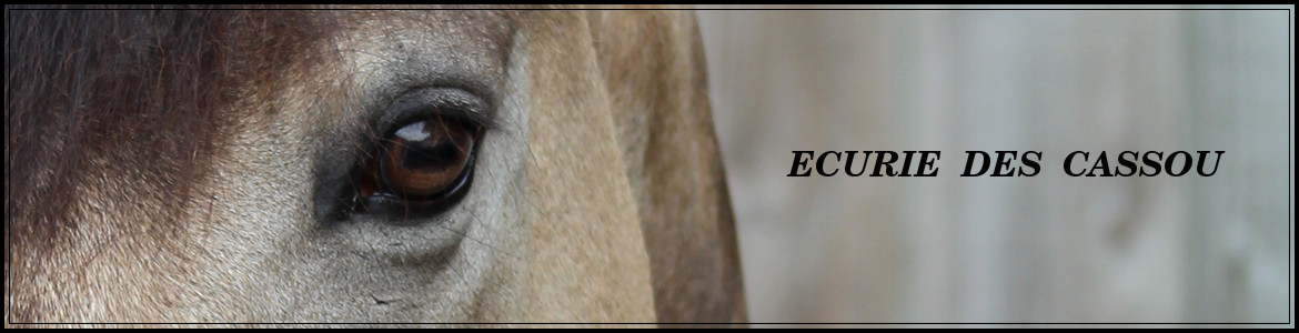 ECURIE  DES  CASSOU